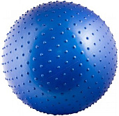 Мяч массажный TORRES 65 см антивзрыв с насосом
